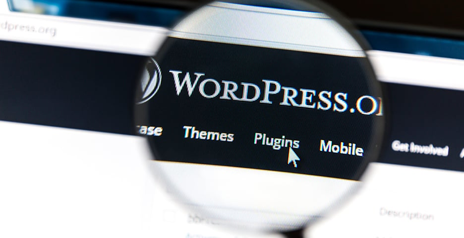 Wordpress Themes &Amp; Plugins